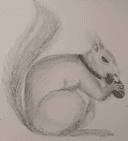 Feedback on Squirrel Drawing